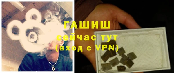 ешки Алексин