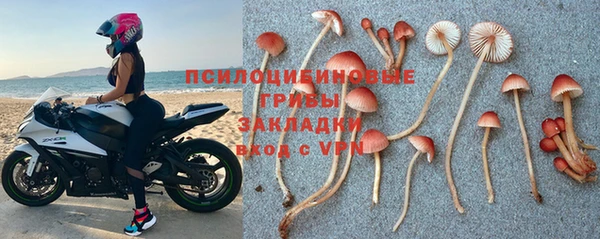 apvp Абинск