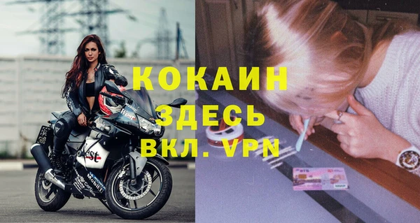 ешки Алексин