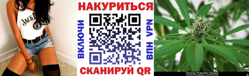 Бошки Шишки ГИДРОПОН  Кадников 